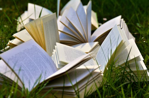 Оновлений перелік виключених журналів з наукометричної бази Scopus 2024 р. за грудень.