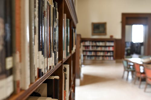 Оновлений перелік виключених журналів з наукометричної бази Scopus за березень 2025 року